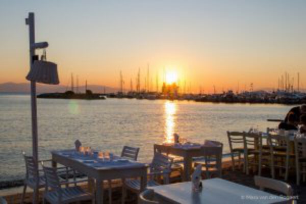 Afbeelding voor Gastblog Mara – haar eerste SailVibes