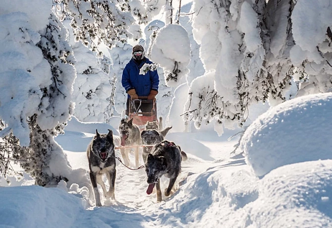 husky tocht VillaVibes singlereizen