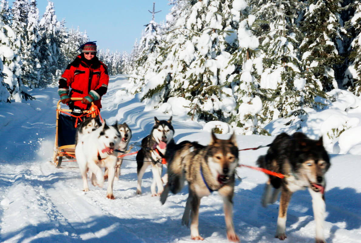 husky tocht VillaVibes