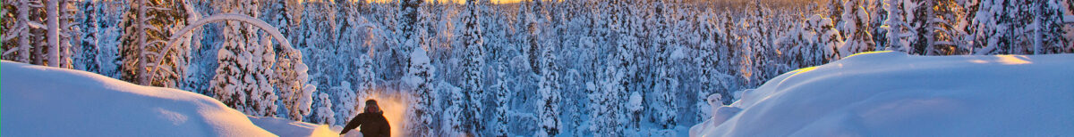 singlereis Lapland