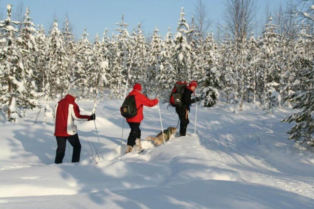 Singlereis Lapland sneeuwschoenen