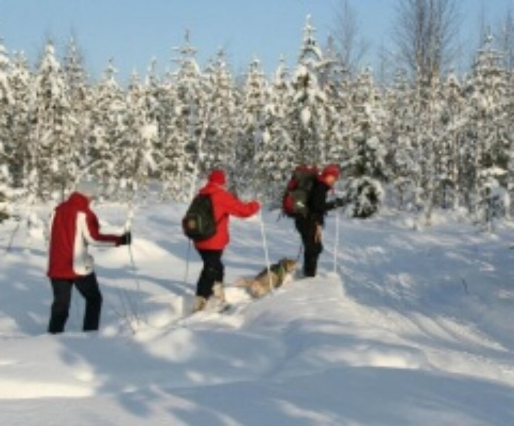 Afbeelding voor 10 punten die jouw Lapland vakantie onvergetelijk maken