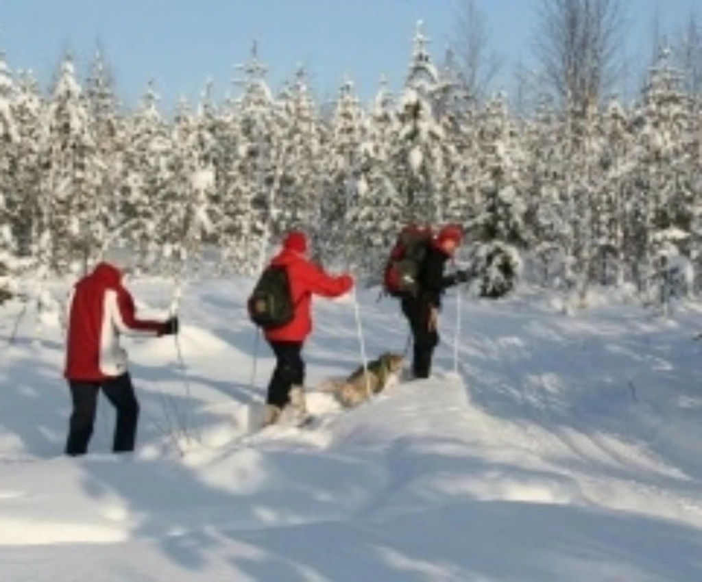 Afbeelding voor 10 punten die jouw Lapland vakantie onvergetelijk maken