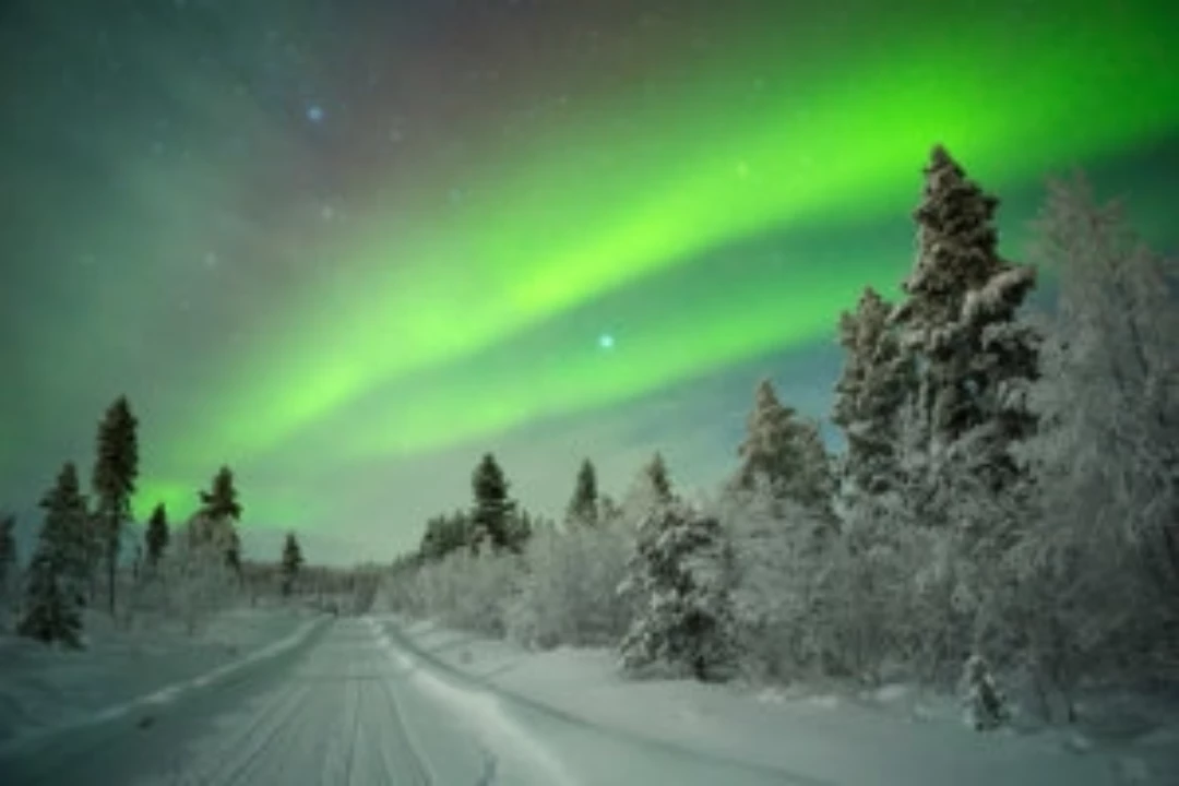 Noorderlicht tijdens single reis Lapland
