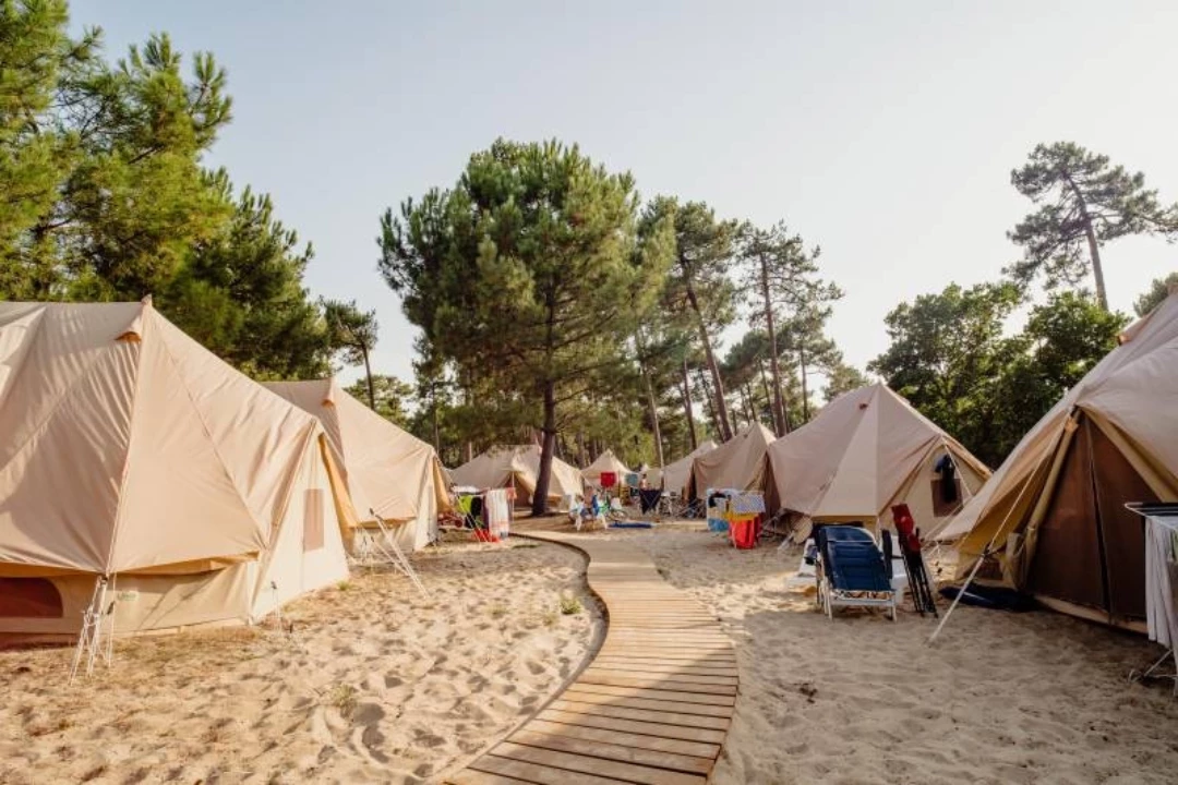 Pine Beach Paradise