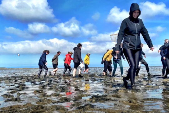 texel wadlopen