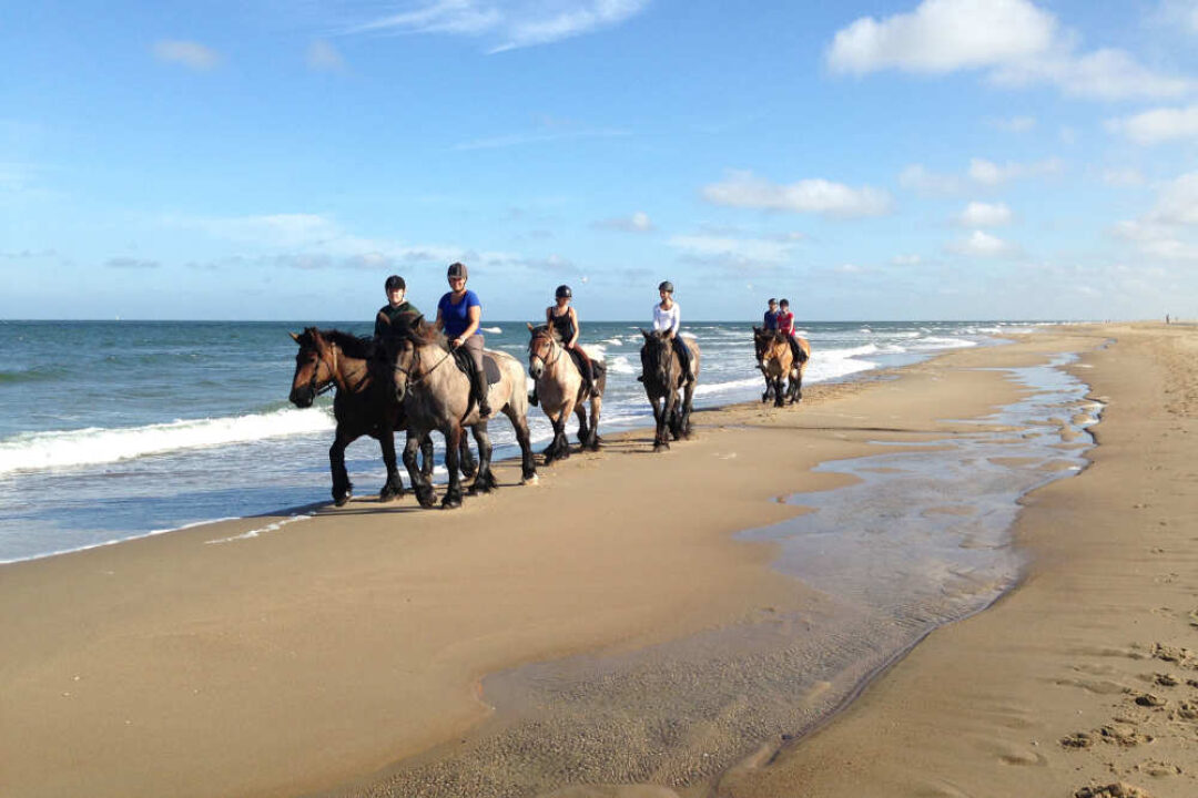 paardrijden strand texel