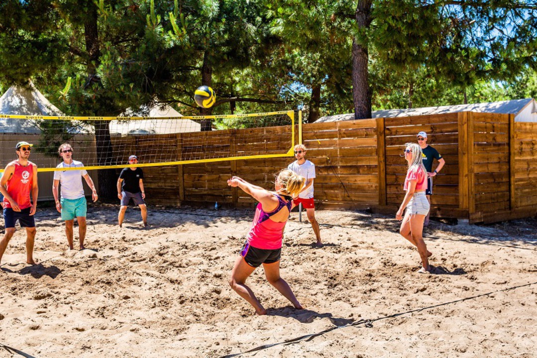 volleybal summervibes limburg
