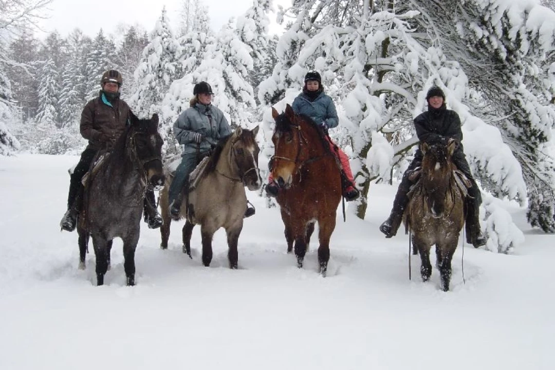 paardrijden sneeuw singlereis