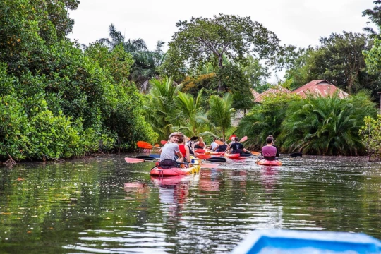 Je peddelt dwars door de mangroves en bijzondere plekken. mangroves kayak