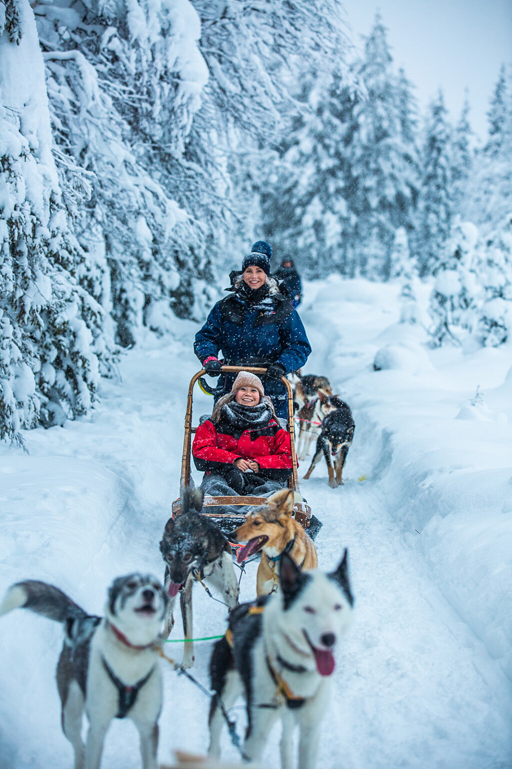 Cover voor VillaVibes Lapland | 2023