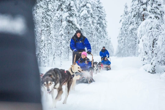 Lapland singlereis