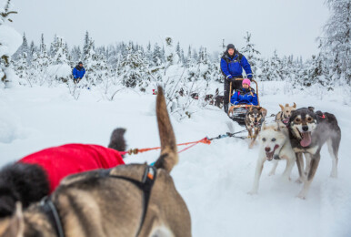 Cover voor VillaVibes Lapland | 2023