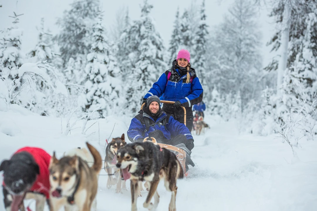 Een single beleeft een huskeytocht door winterwonder land tijdens de activiteiten van de singlereis naar Lapland