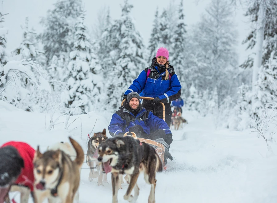 Een single beleeft een huskeytocht door winterwonder land tijdens de activiteiten van de singlereis naar Lapland