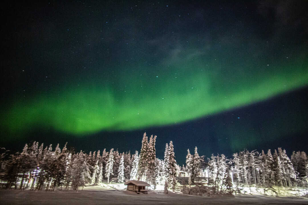 singlereis lapland levi