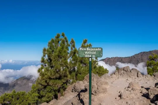 singlereis la palma