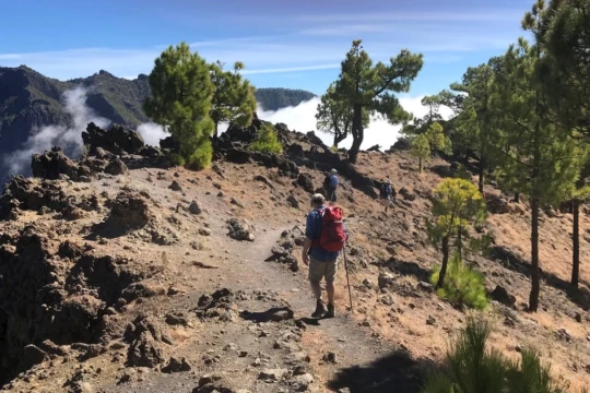 la palma