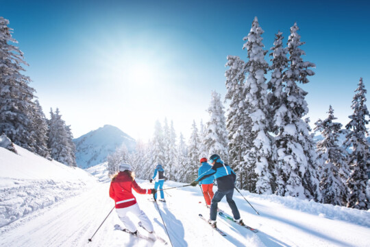 wintersport single reizen