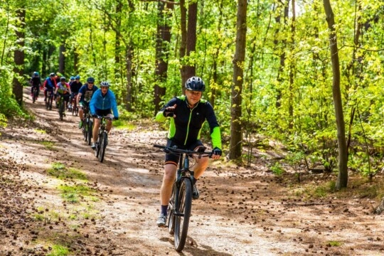 De bossen rondom Vechtdal zijn ideaal om te mountainbiken. Vechtdal Villavibes