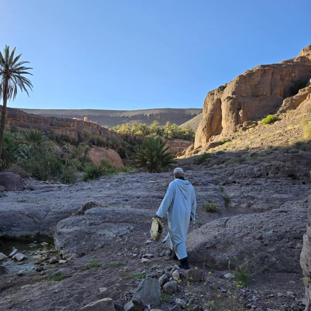 Ecolodge oudnoujoum