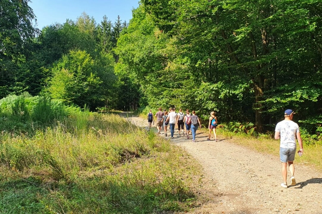 Wandeling op weg naar het bos