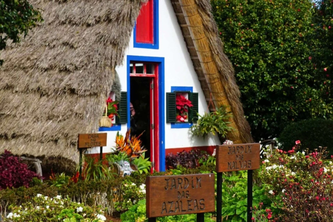 Singlevakantie Madeira